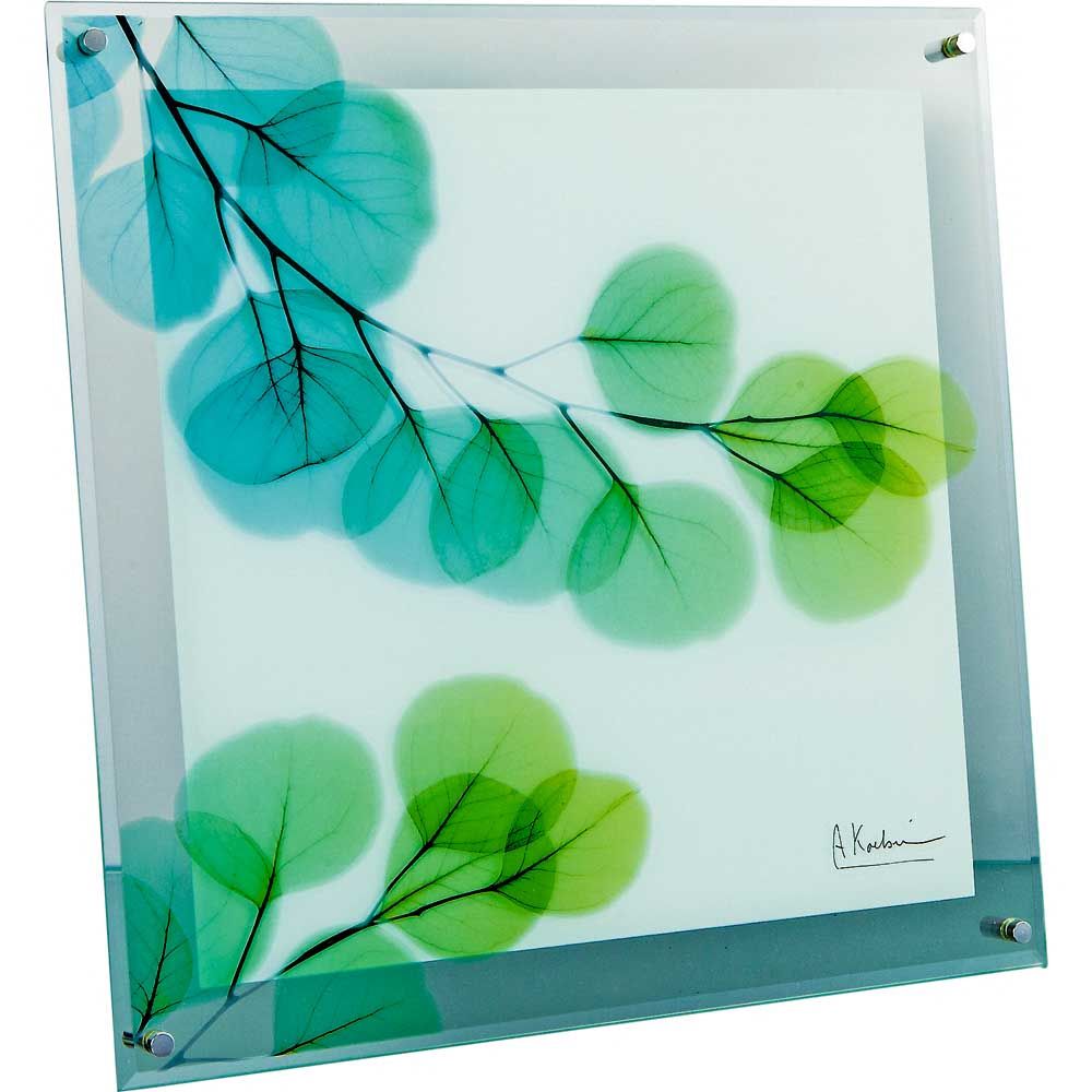 レントゲンアート X RAY ガラス アート「ユーカリ（Mサイズ）」/インテリア 額入り 額装込 風景画 油絵 ポスター アート アートパネル リビング 玄関 プレゼント モダン アートフレーム 飾る M