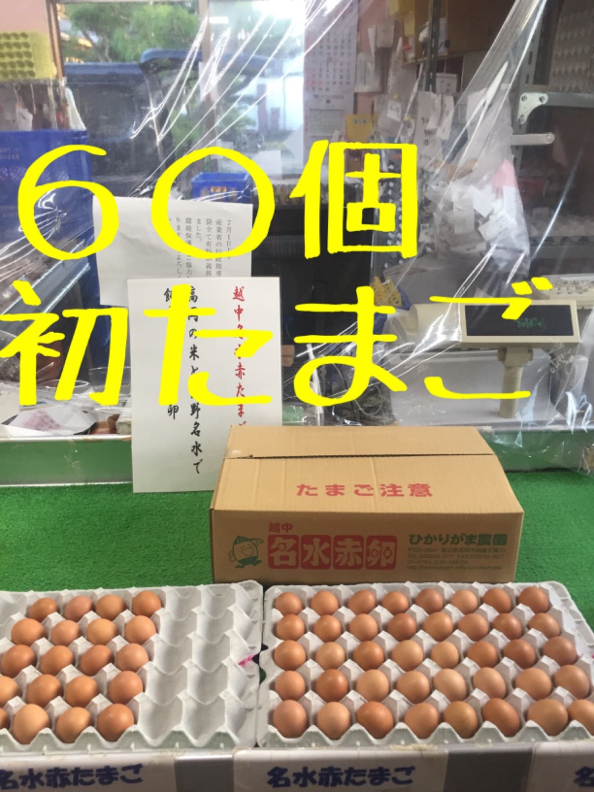 80個　初たまご　卵かけご飯　生２週間北海道沖縄追加送料　ショップも見てね