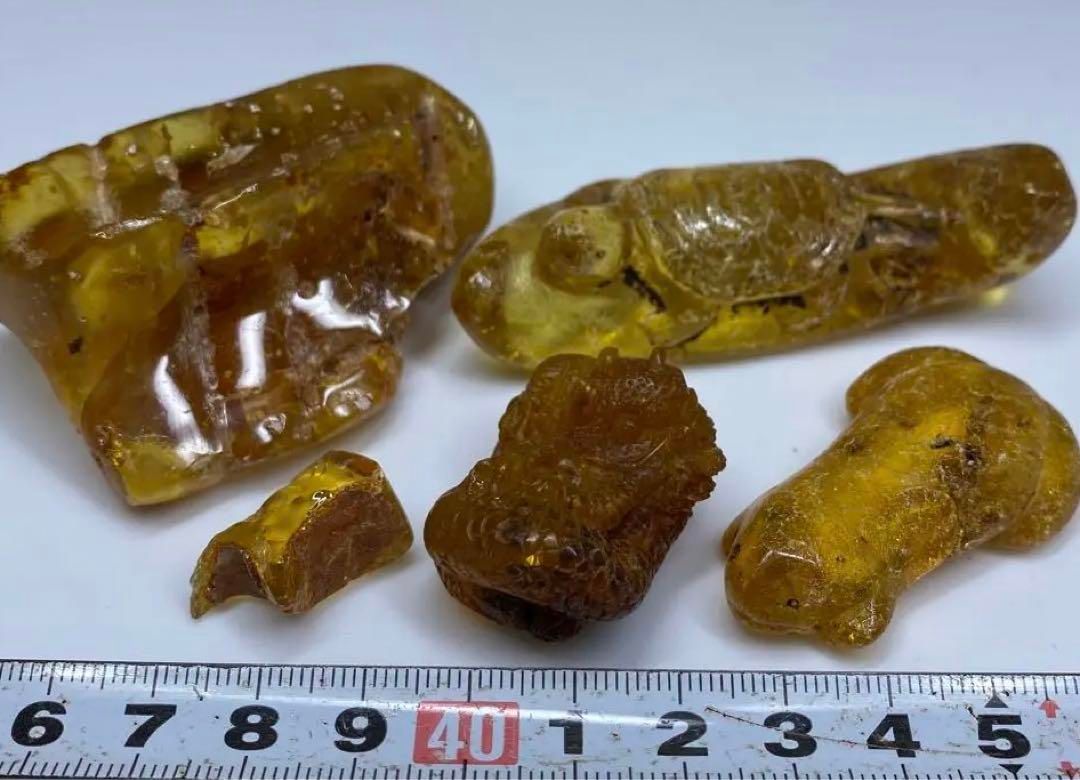 本金琥珀 虫入 亀 蛙 蛇等オブジェ タニチ 75g 東里6-1011 2F