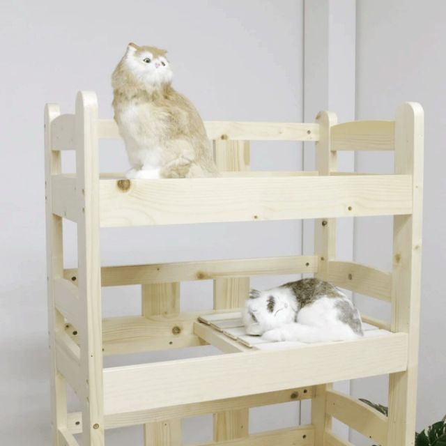 パイン材
