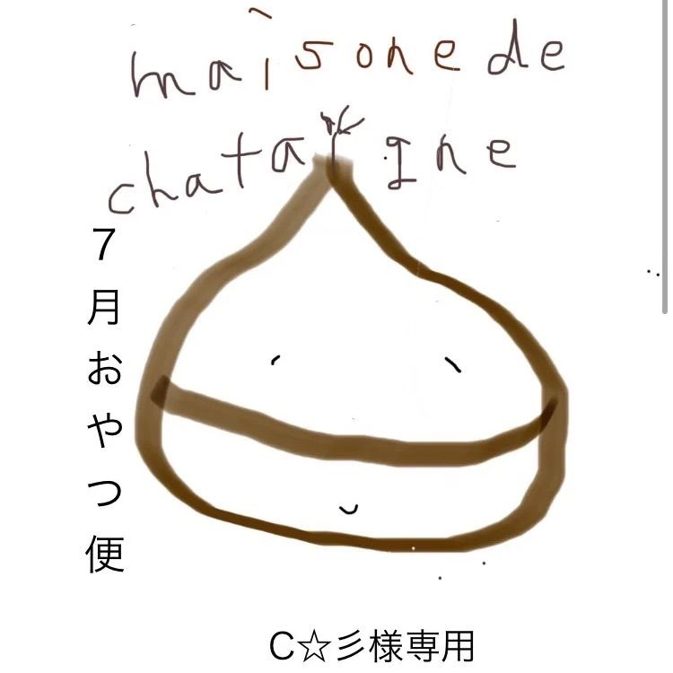 食品 C☆彡様専用 おやつ便 シフォンケーキサンド チーズケーキ テリーヌ