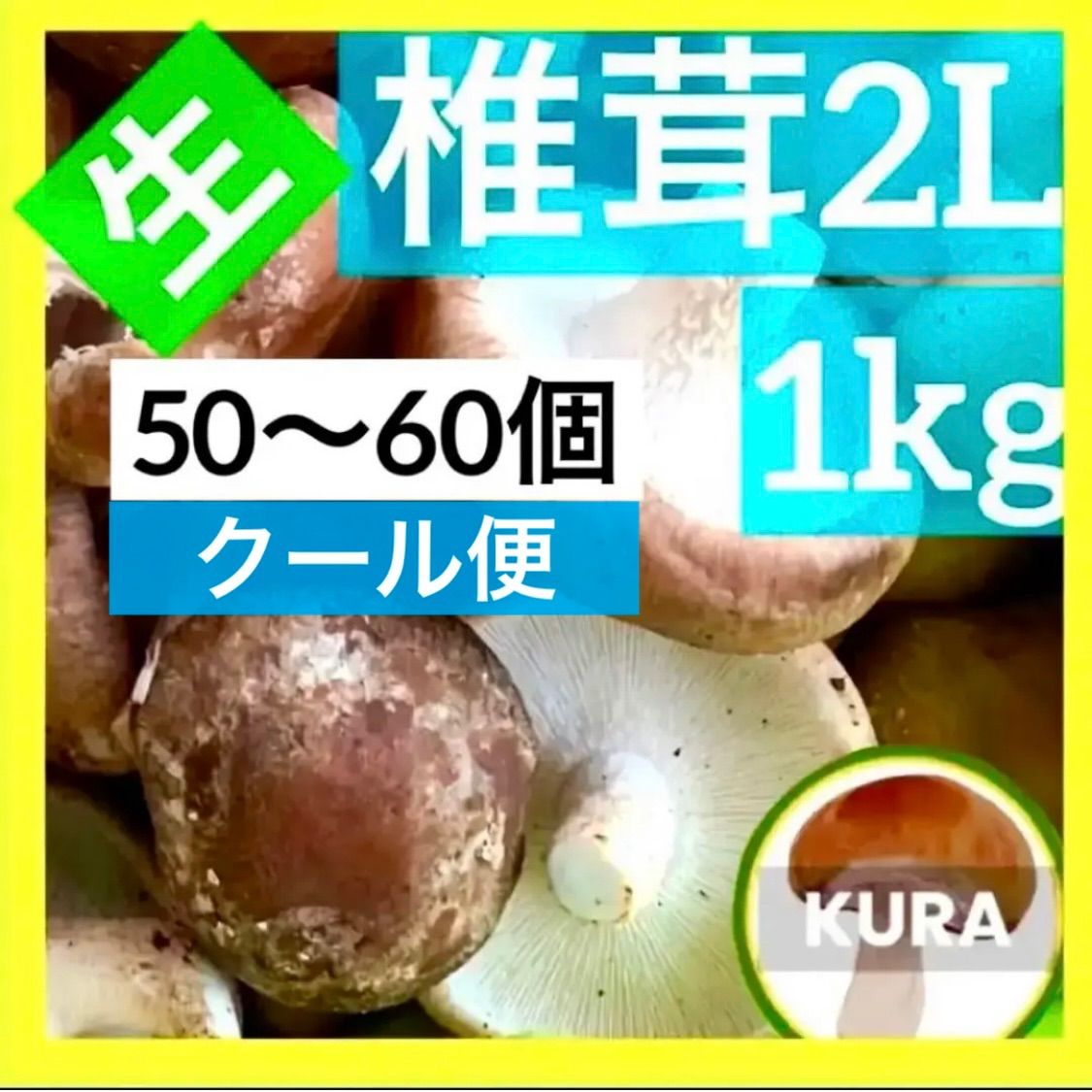 クール便 兵庫県 淡路島産 生しいたけ 2Lサイズ 1㎏ 生椎茸 #9   野菜