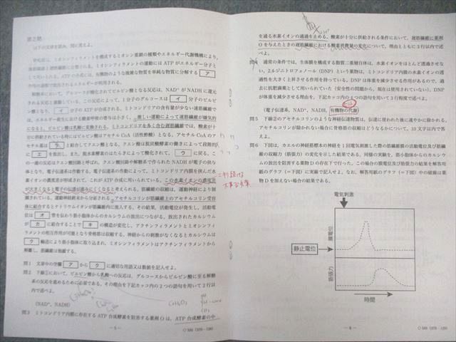 鉄緑会 入試生物演習 【計11回分】 2023 伊藤正浩 ☆ 035S0D 鉄緑会 入試生物演習 【計11回分】 2023 伊藤正浩 ☆ 035S0D
