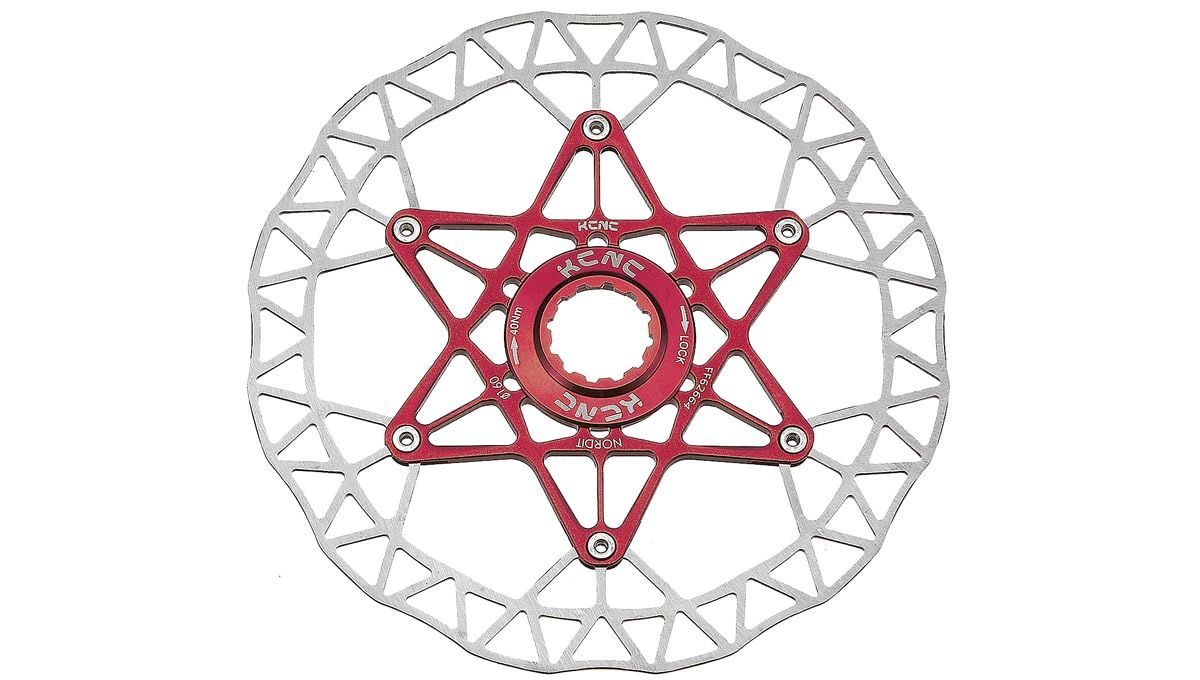 現品 アキグミ 本物 特大苗 2mほど 山採り