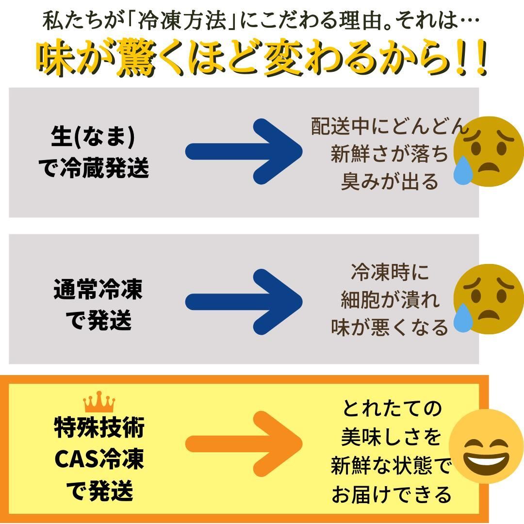 超特大・サンホルヘ湾の生赤エビ20尾セット【特殊CAS冷凍】海鮮BBQバーベキュー 刺身OK