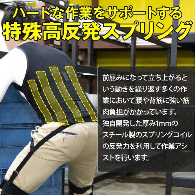 本体のみ 各サイズ