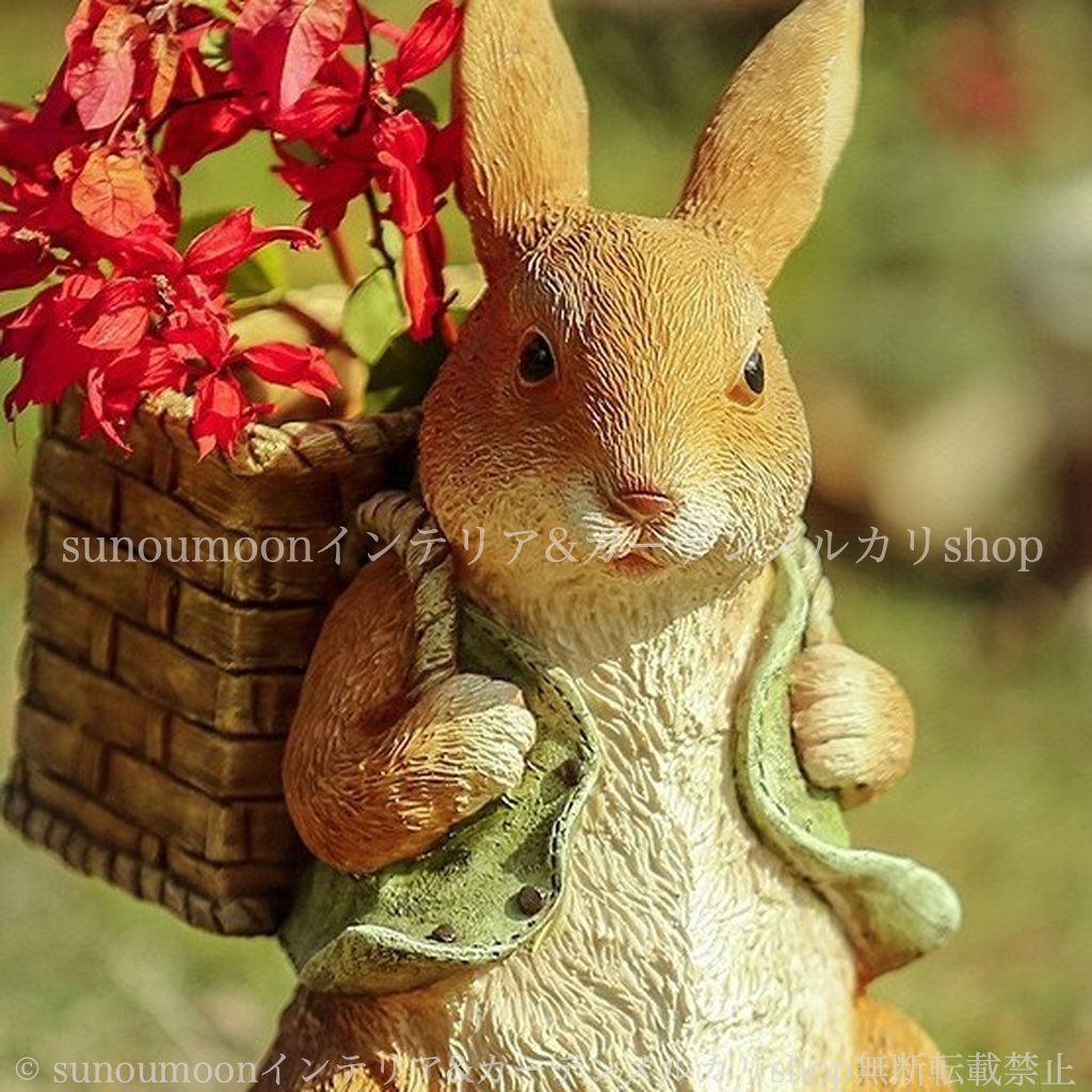 ウサギ ブラウン