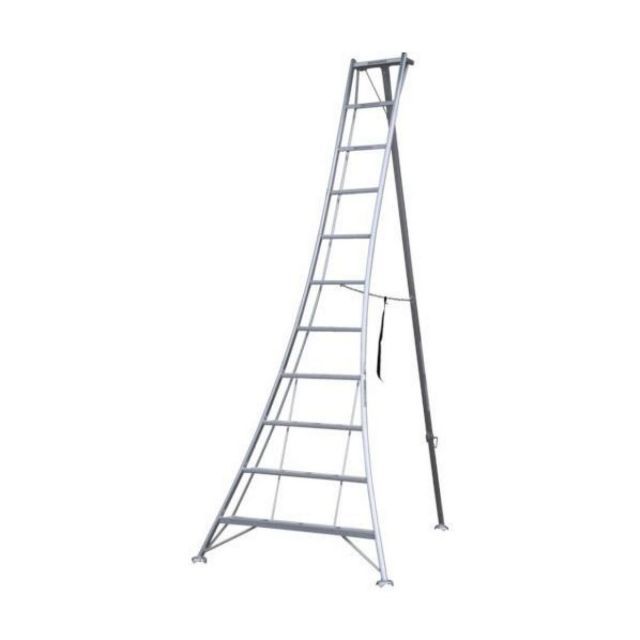 アルインコ ALINCO 三脚脚立 全高3.38m KWX-330 11尺