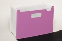 まとめ セキセイ パピエリ ドキュメントスタンド A4ヨコ 25ポケット ピンク FB-2382-21 ×5セット