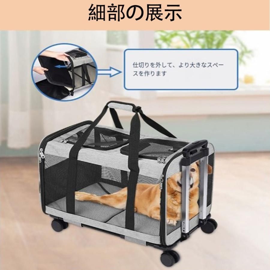 小型犬 中型犬