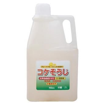 コケそうじ濃縮液 業務用 2L 苔 駆除剤 掃除