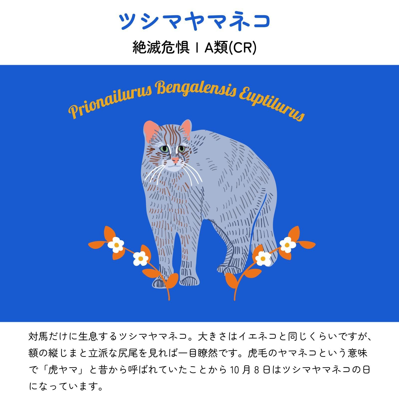 人気商品】[カトコア] mamoru扇子 11003813 扇子 男女兼用