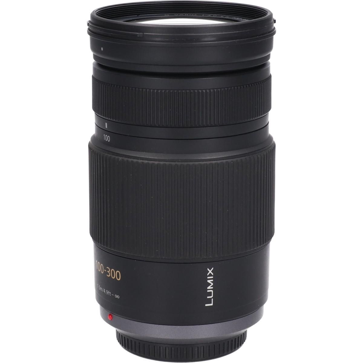 Ｇ１００－３００ｍｍ Ｆ４－５．６ＭＥＧ ＯＩＳ