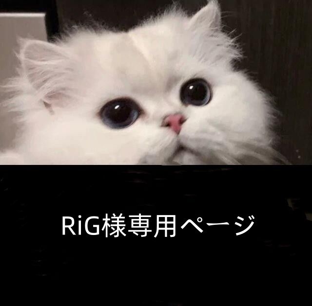 RiG様ご確認用 - メルカリ 