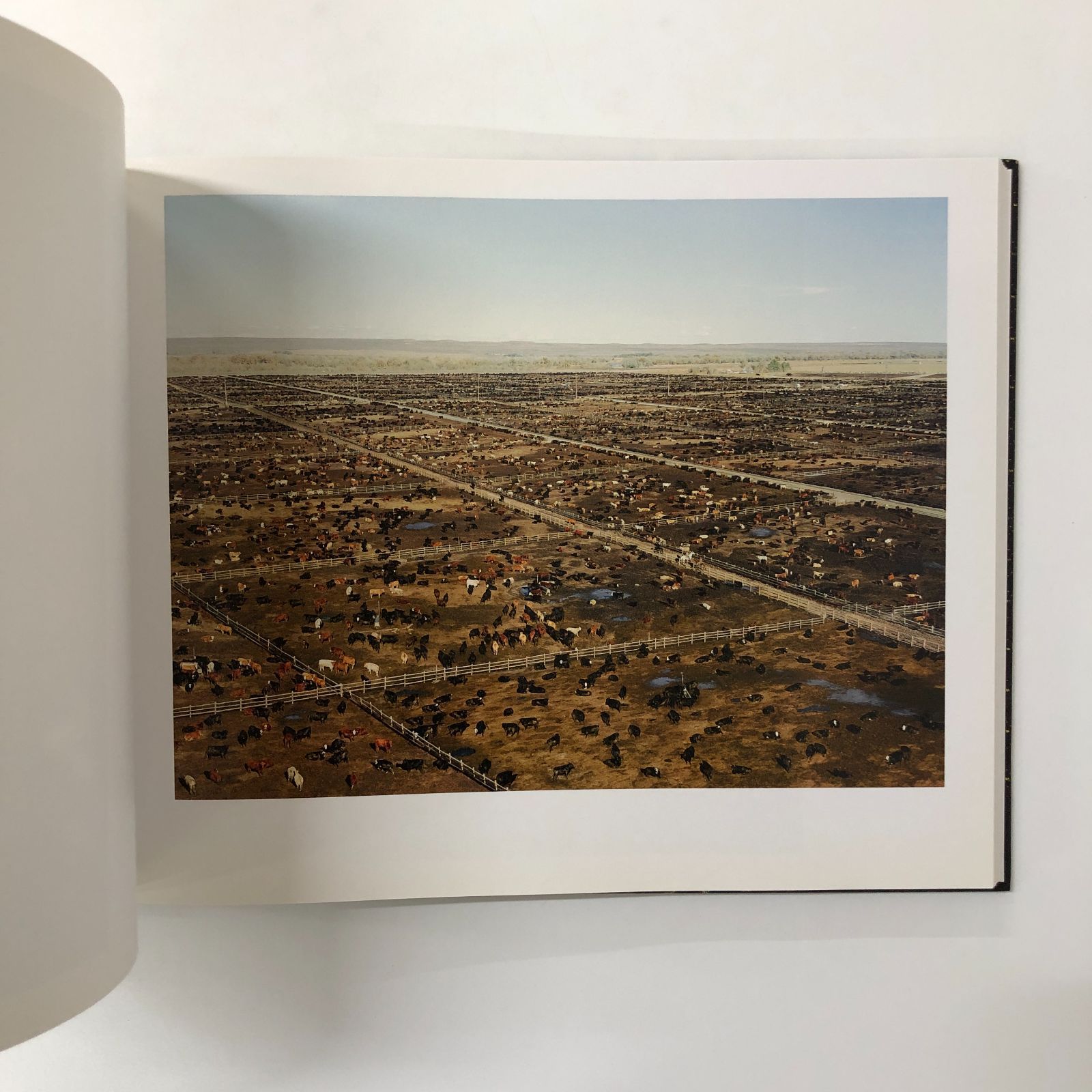 図録 アンドレアス ・ グルスキー Andreas Gursky 71gDfZew9UL._AC_SY200_QL15_.jpg