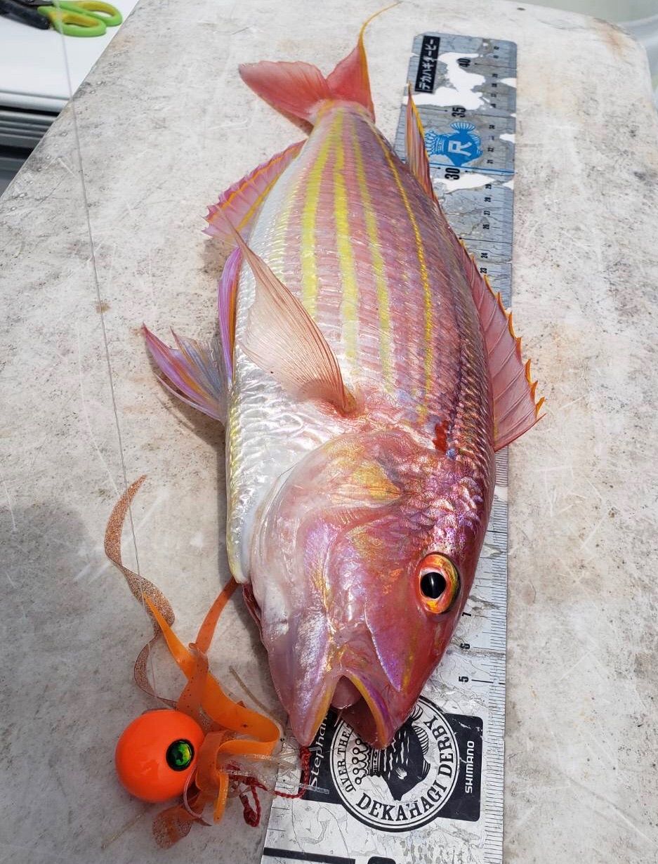 タングステン タイラバ タイラバヘッド 鯛ラバジグ レインボーB 120g3
