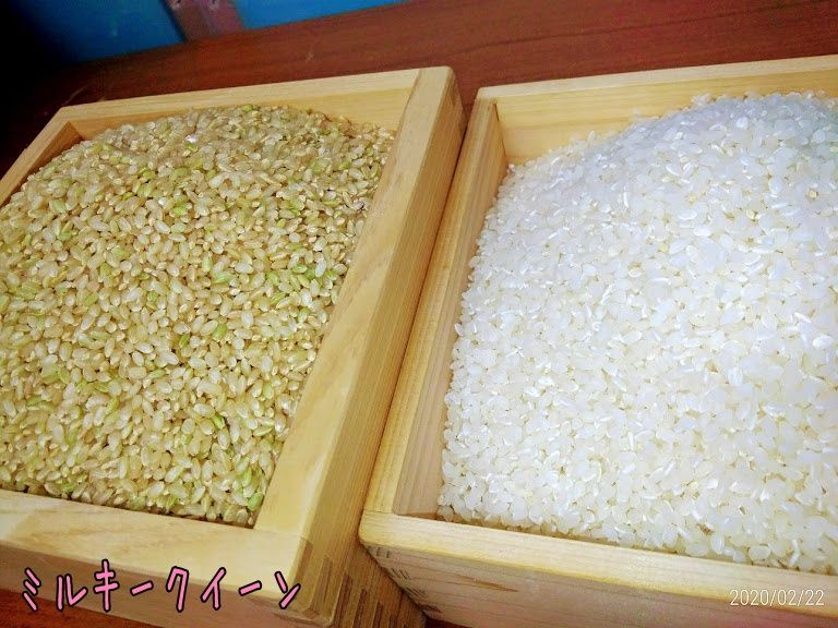 食品令和元年岐阜県東白川産いのちの壱玄米10kg