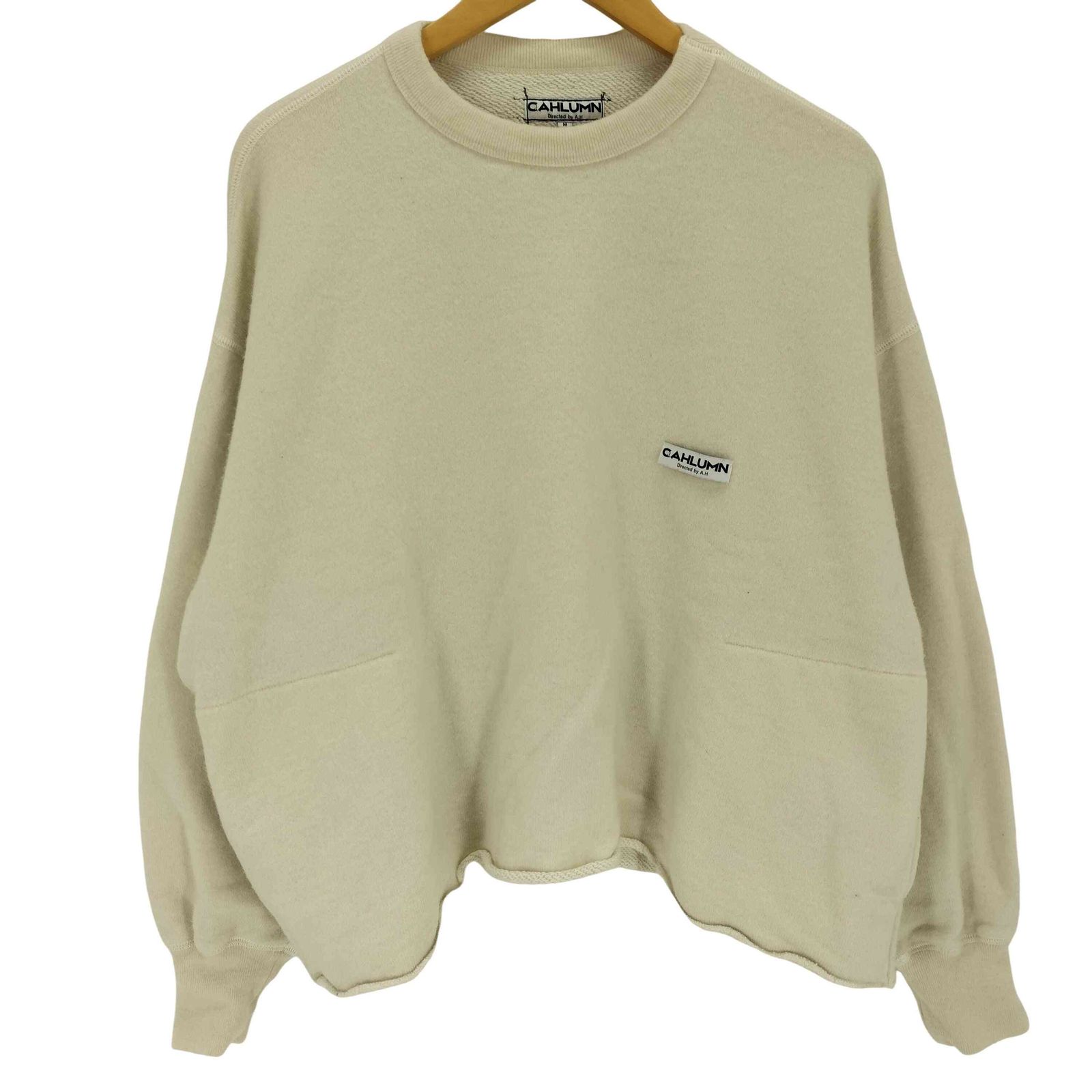 ユーズドフルギ USED古着 {{CAHLUMN}} プルオーバースウェット メンズ JPN：M 