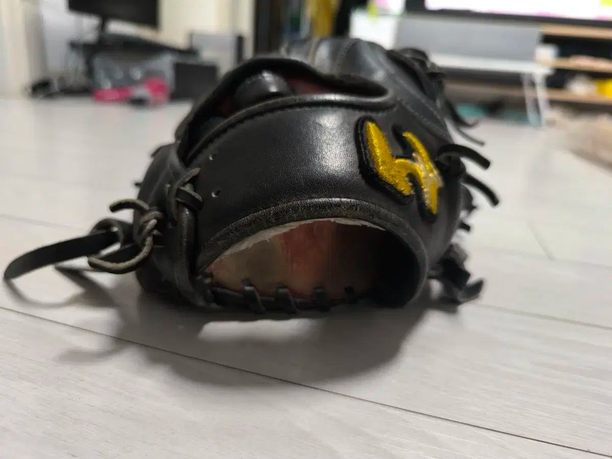 ワールドペガサス 内野グローブ