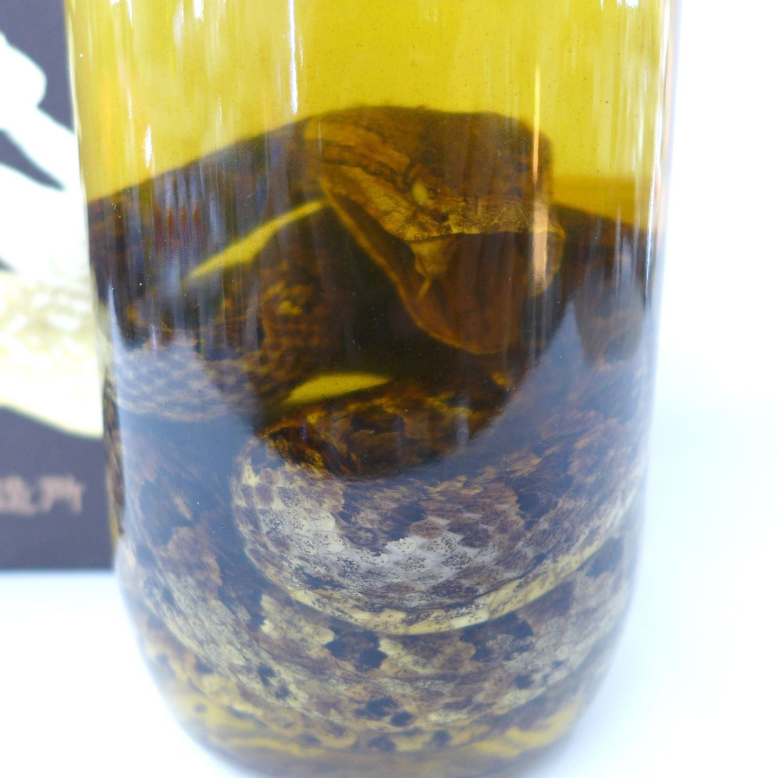 古酒 ハブ酒 800ml 35度 限定品 箱付 未開栓 - メルカリ