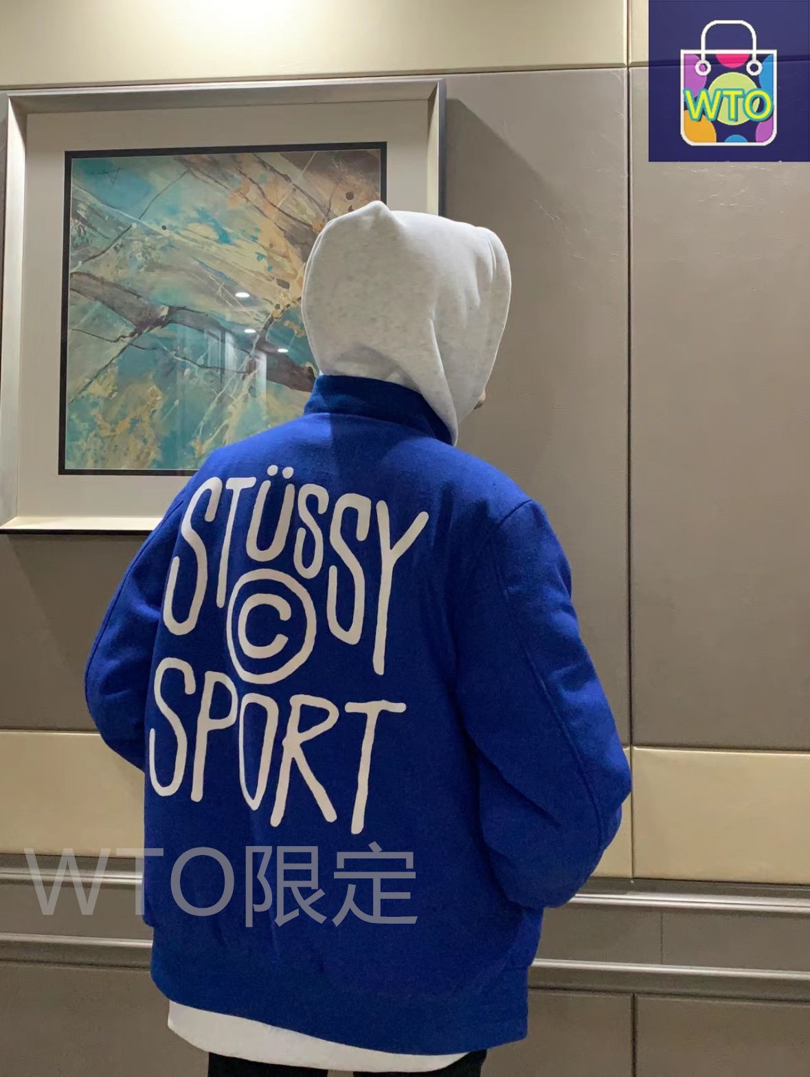 フロッキーロゴ ベースボールジャケット