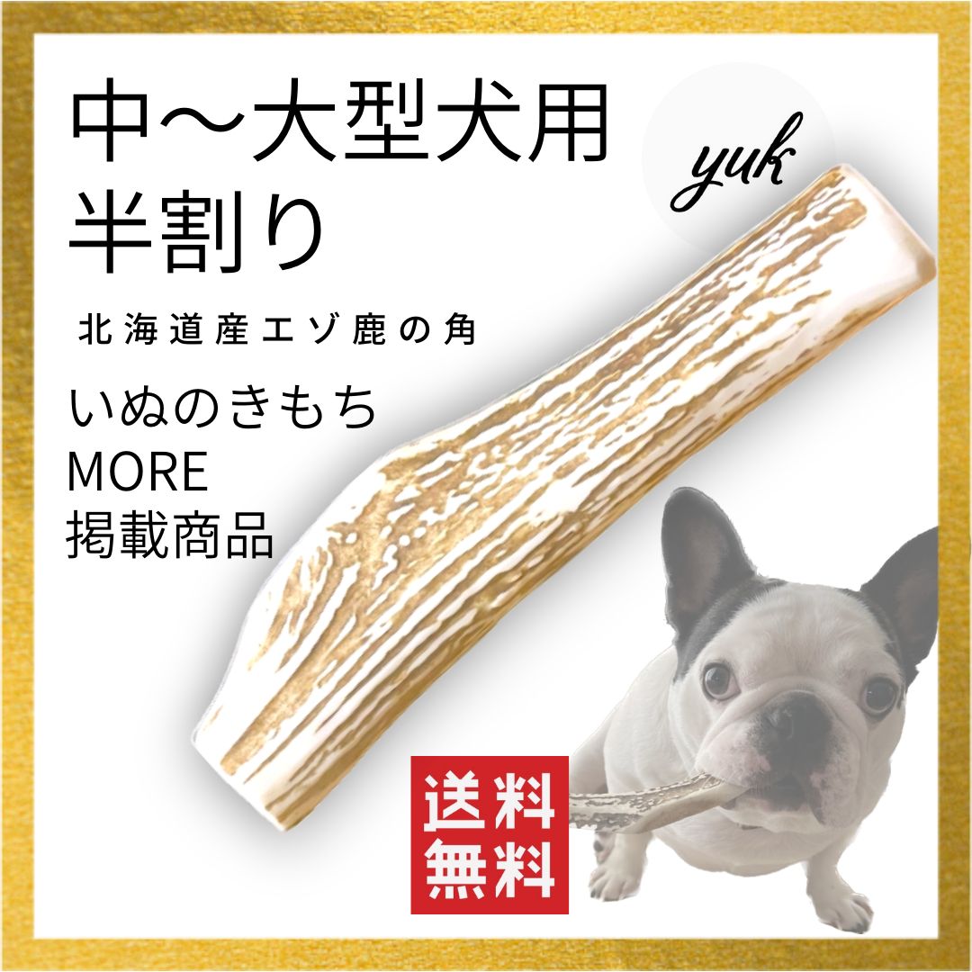 【小・中型犬用】 犬 鹿の角 鹿角 蝦夷鹿 おもちゃ 北海道産 角 ガム エゾ鹿 無添加 蝦夷鹿 デンタルケア 口臭予防 ドッグフード | ピアニッシモ