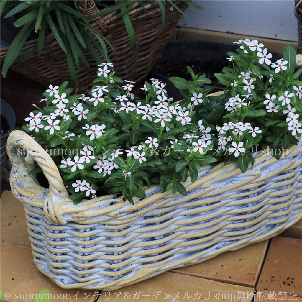 プランター ヴィンテージ調 酸化マグネシウム 編かご 鉢植え 寄せ植え フラワーポット 多肉植物 ガーデニング 雑貨 ガーデン雑貨 ガーデンインテリア ガーデン インテリア 庭の装飾 お洒落 おしゃれ 8-14