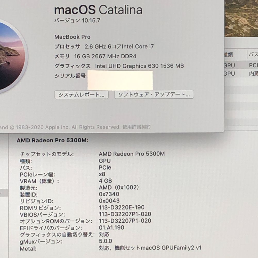 ◆ジャンク品 本体のみ◆Apple MacBook Pro 16インチ 2019 Radeon Pro 5300M i7 16GB 512GB 画面表示色異常 A2141 EMC3347 MB-JUNK-251621 351904