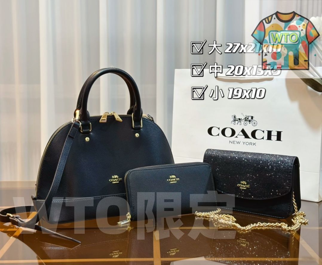 今日特価】Celine セリーヌ、Coach コーチ 組み合わせパック 三
