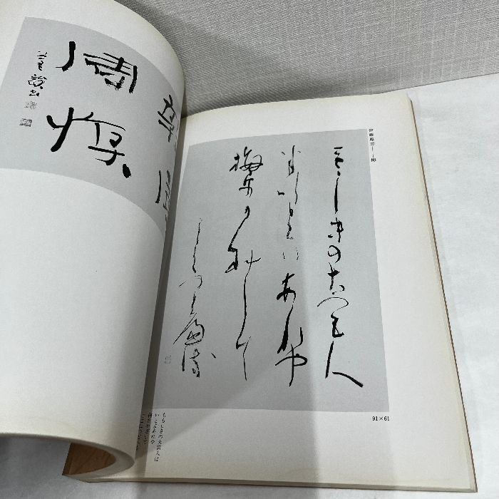 創立40周年記念 日本書芸院展図録 中国明清の絵画 1986年 図録