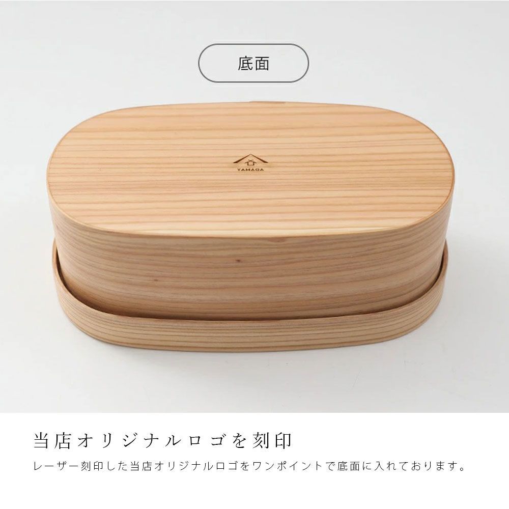 九州杉 国産