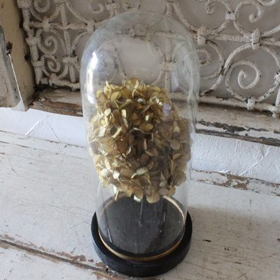 L2504-507-1 送料込！フランスアンティーク ガラスドーム ブロカント L2504-507-1 送料込！フランスアンティーク ガラスドーム ブロカント