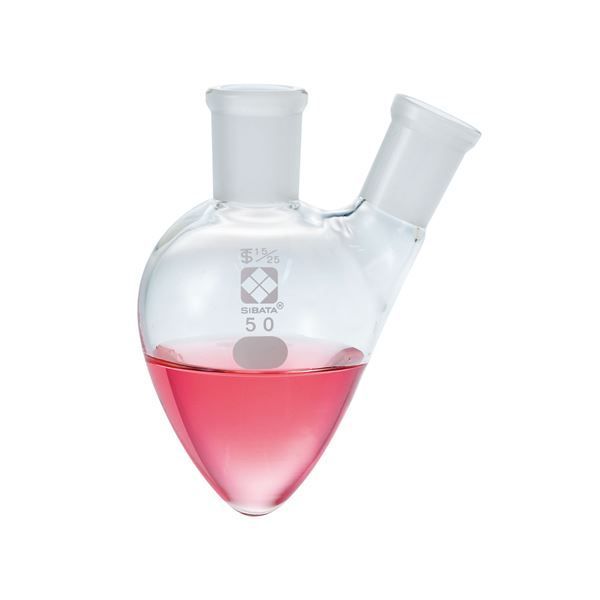共通摺合二口梨形フラスコ 200mL 005420-29200