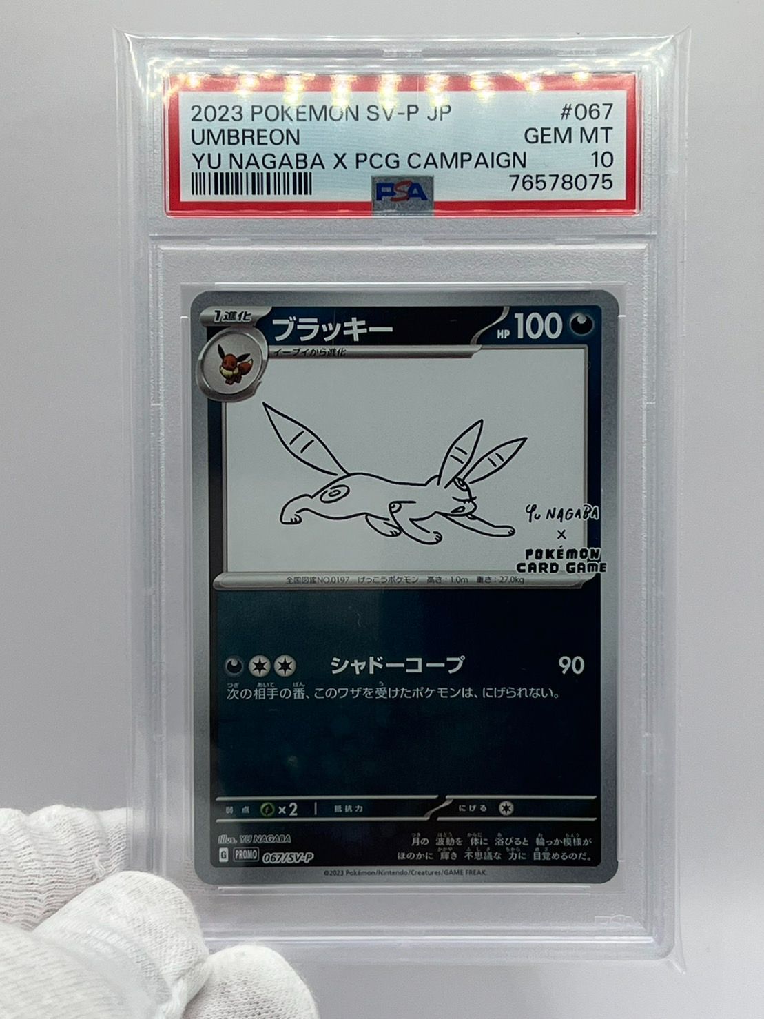 【PSA10】 ブラッキー 067/SV-P Yu Nagaba プロモ ブラッキー(YU NAGABA)【P】{067/SV-P}