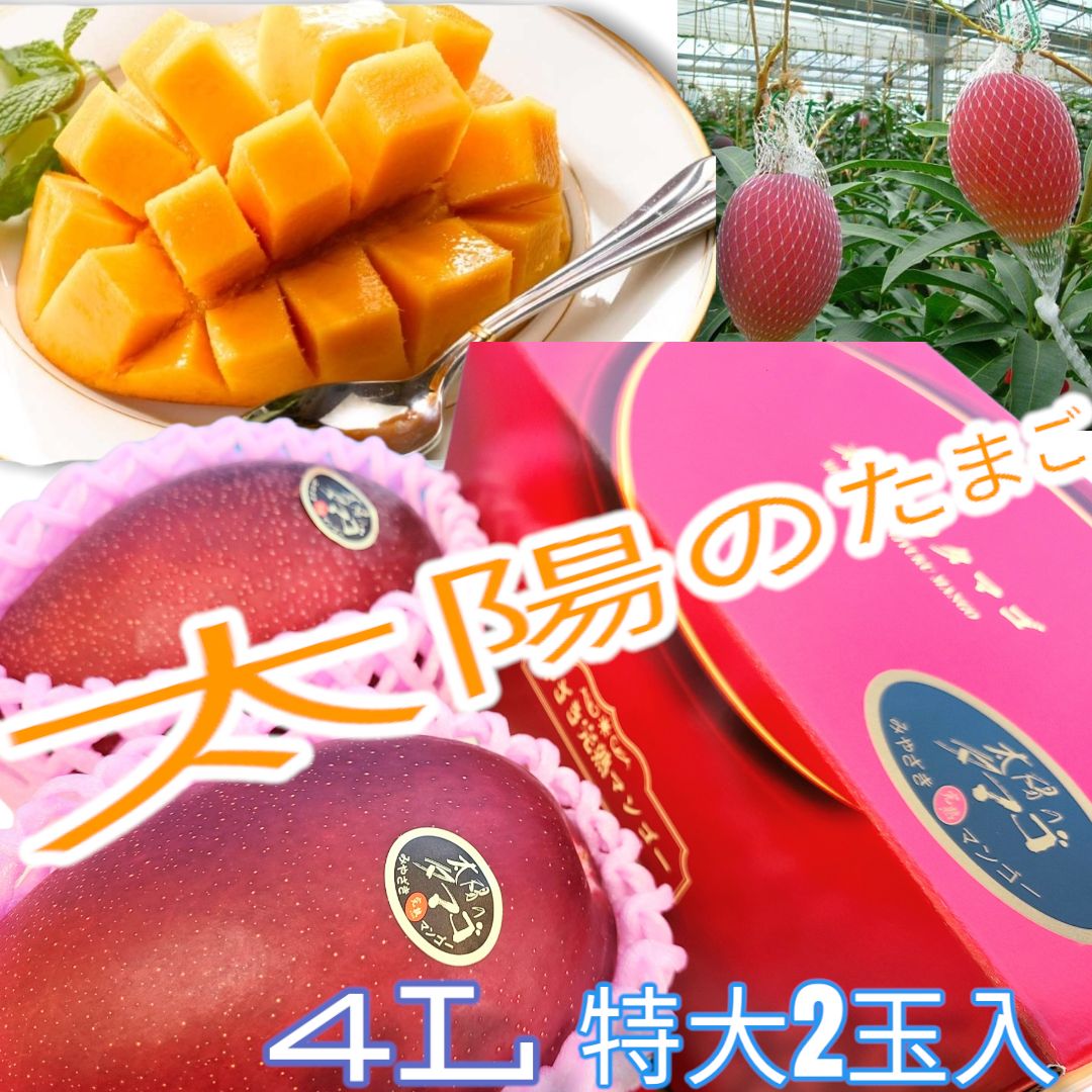 絶品 青秀品 太陽のたまご 宮崎完熟マンゴー 4L大玉 二個 ギフト 母の日