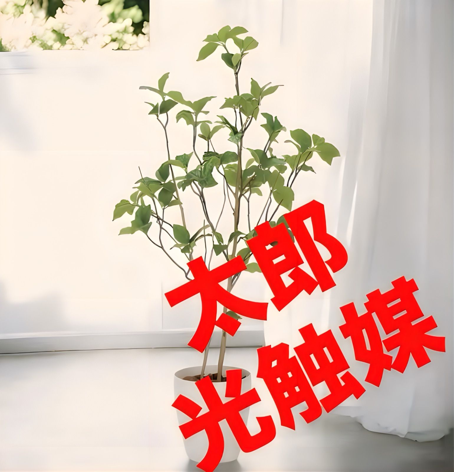 光触媒 人工観葉植物 購入 ウォールグリーン フェイクグリーン サラサ