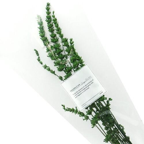 【新品・3営業日で発送】ラベンダー【ドライフラワー】 (AN80025-051A)【入数:10】