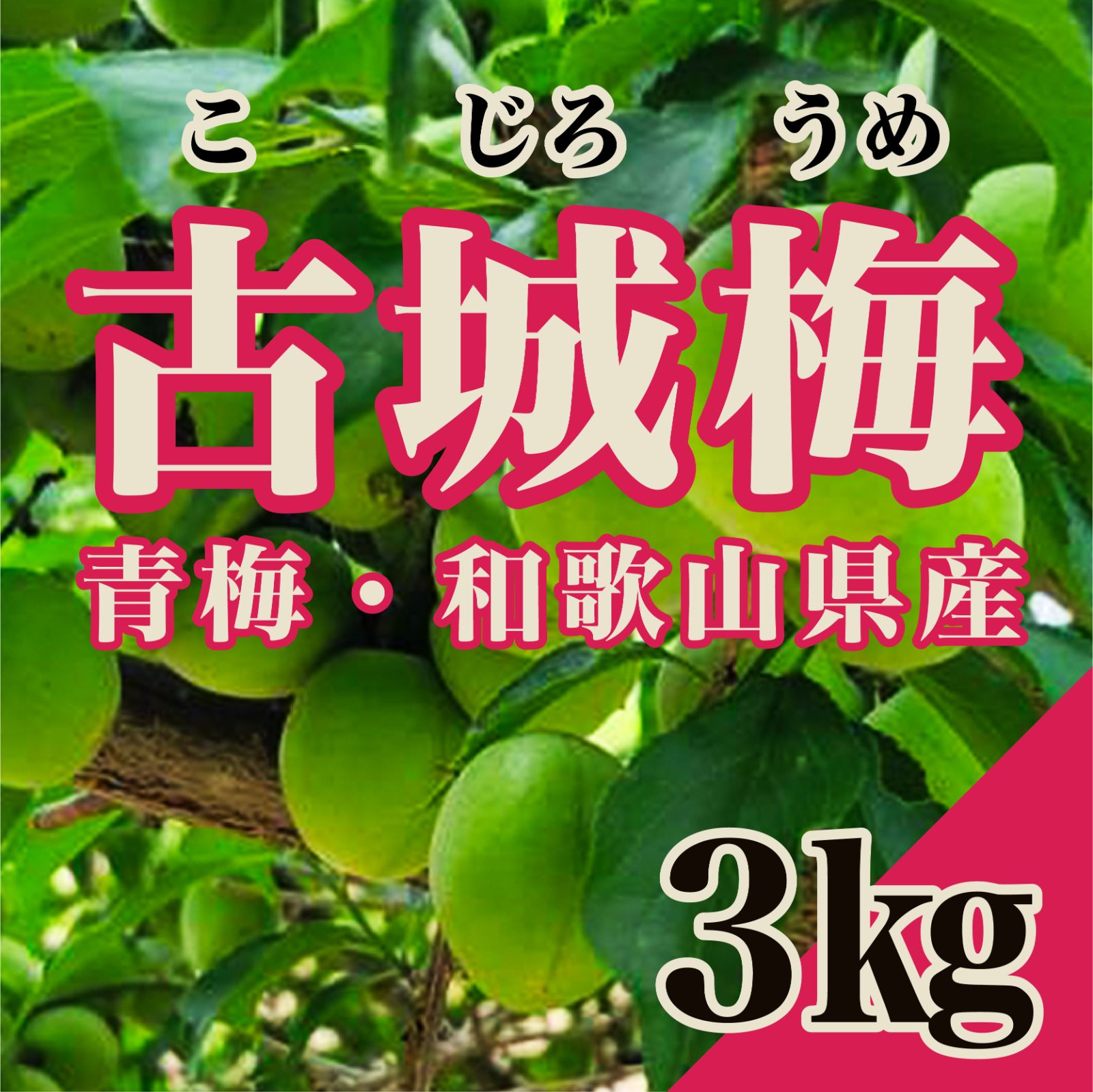 和歌山県産】古城梅 3kg 青梅・梅酒・梅ジュース用 - メルカリ