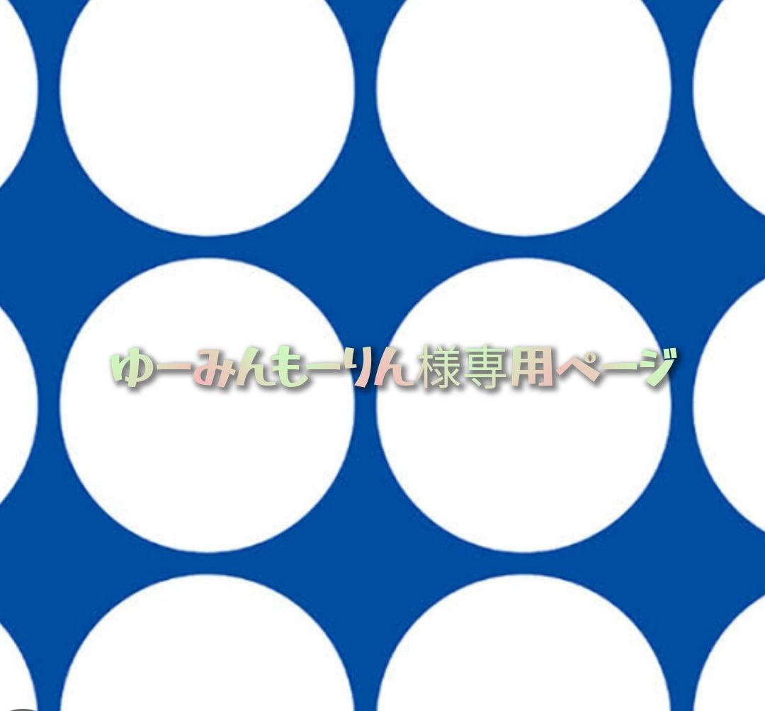 ゆーみんもーりん様専用ページ400円引き - メルカリ