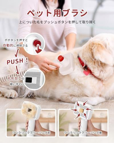 犬