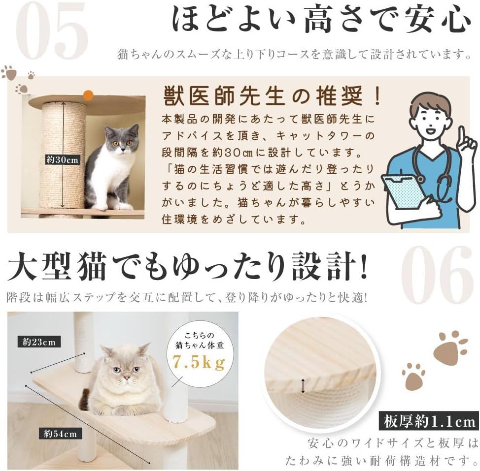 見晴台 ねこハウス