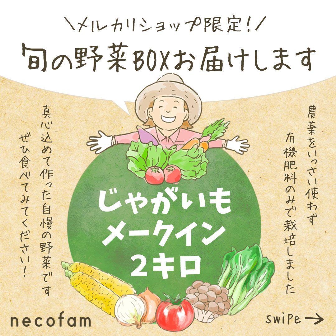 【埼玉県産/数量限定】メークイン　2キロ（2㎏）