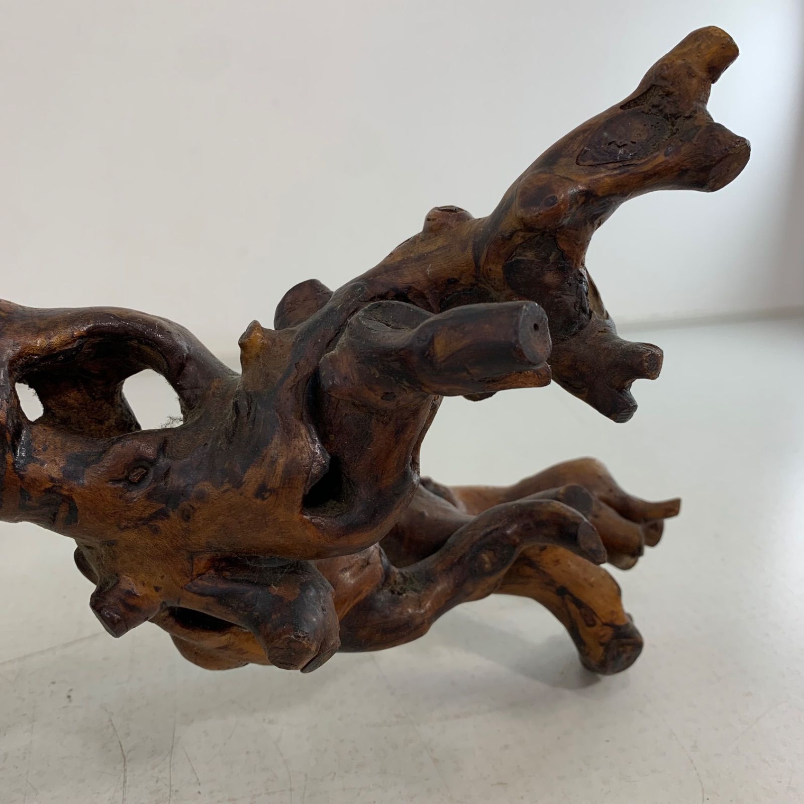 天然木根瘤 自然造形花器 置物 根木 瘤 鑑賞木 瘤木 木のオブジェ