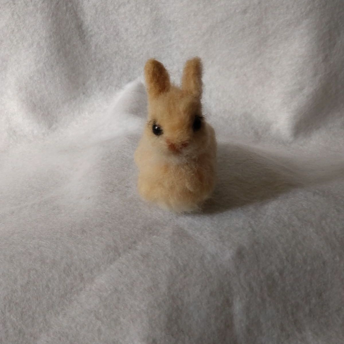 羊毛フェルトうさぎネザーランドドワーフ - メルカリ