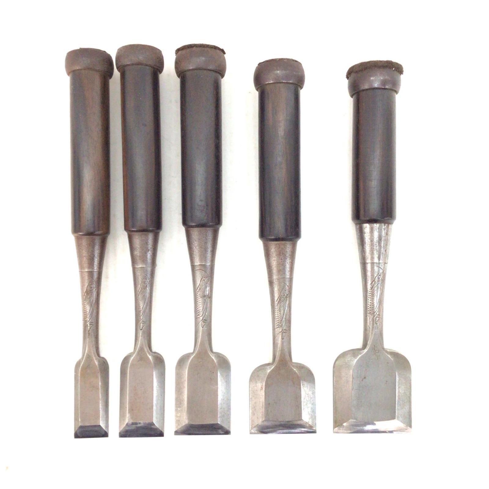 ΘΘ ノミ 程度C 10本セット 名前入り 虎光