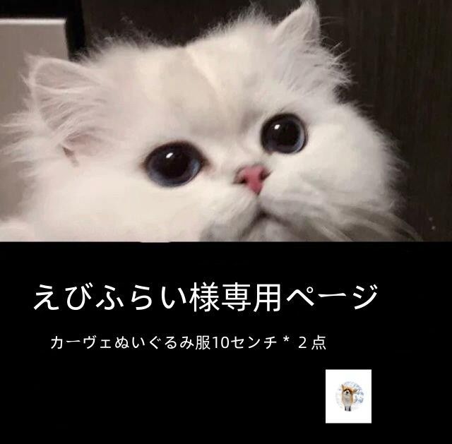 えびふらい様専用ページ カーヴェぬいぐるみ服10センチ＊2点 - メルカリ