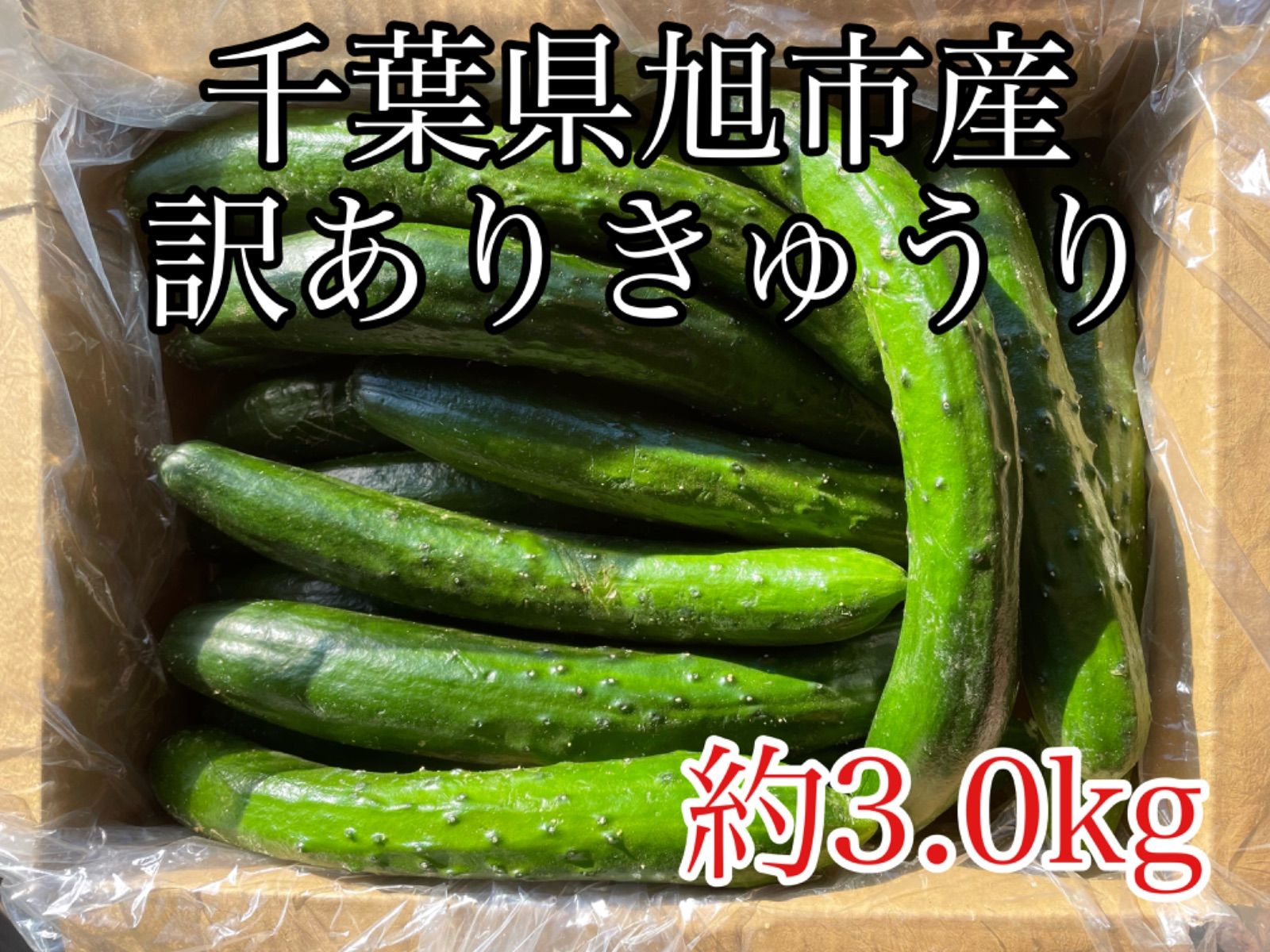 訳ありきゅうり♪箱込み1㎏ - 野菜