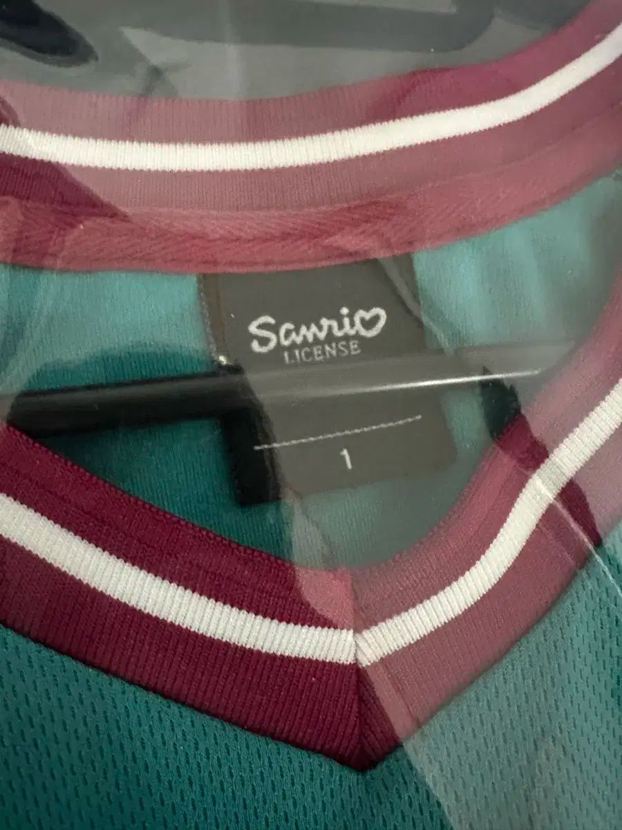 1 大田ハナシチズン