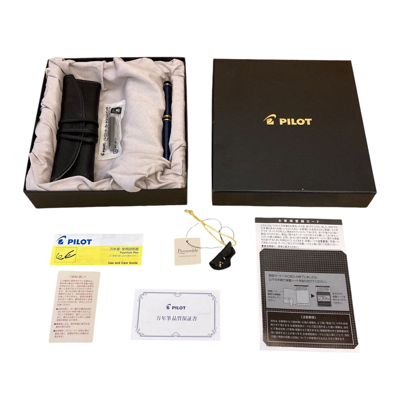 新品 廃盤モデル】 PILOT (パイロット) 万年筆 ペン先14K-585