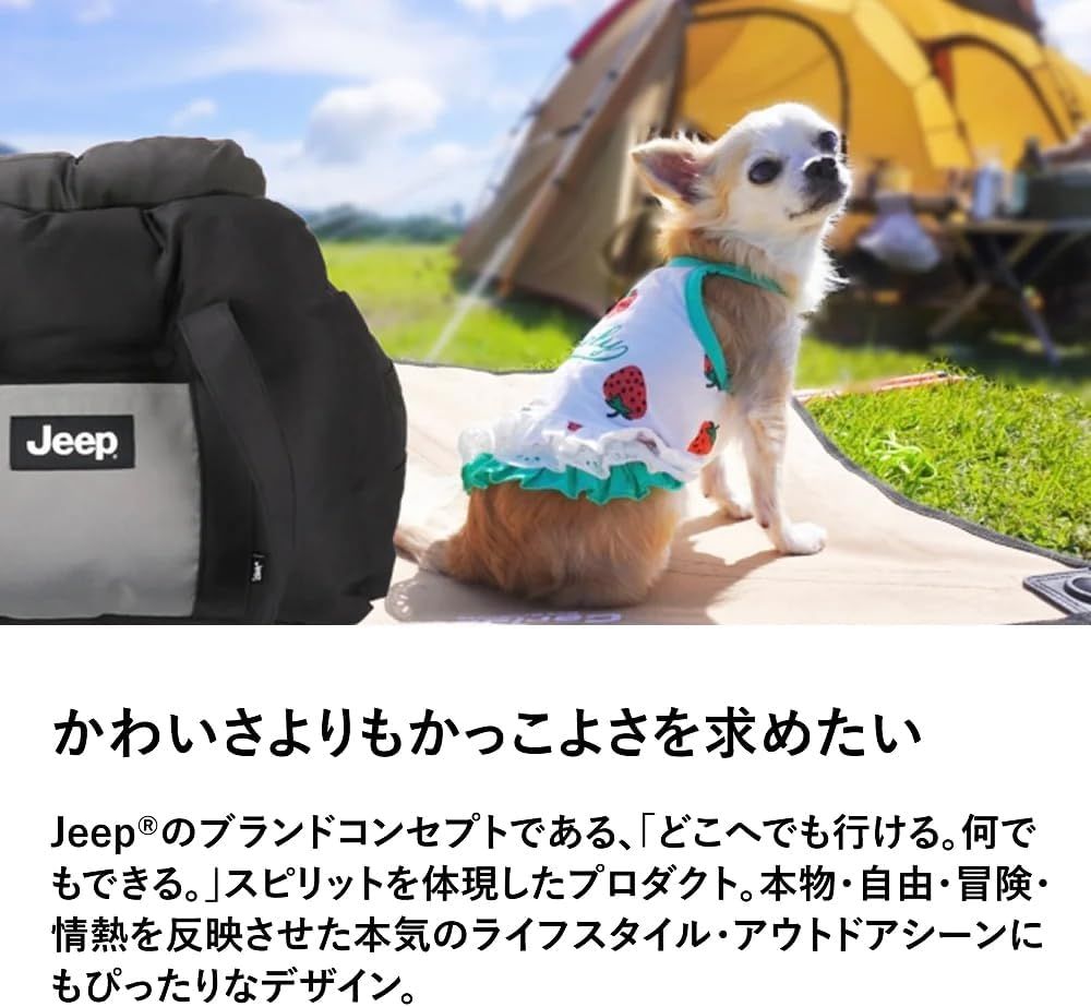 小型犬 犬